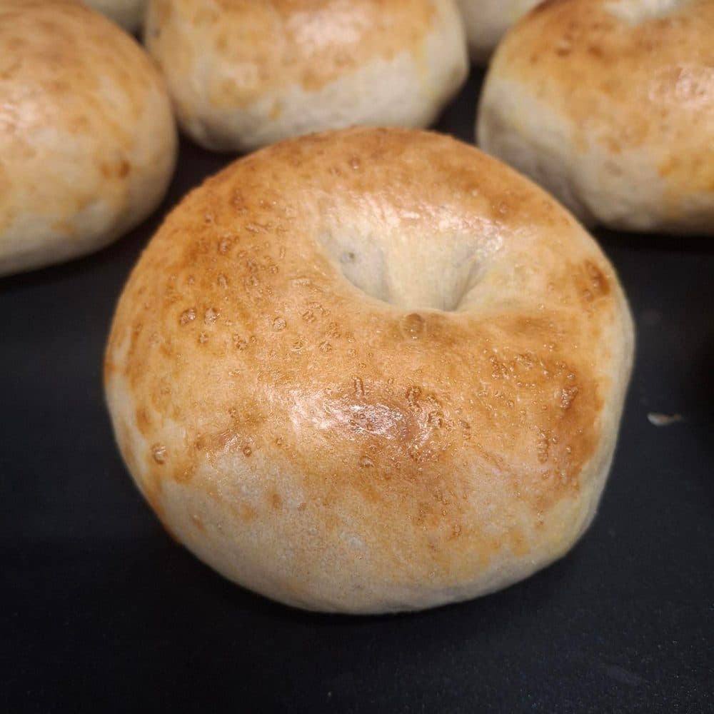 Plain Bagel